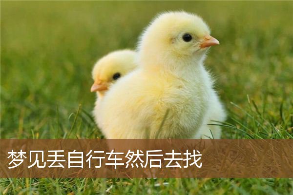 梦见丢自行车然后去找是什么意思