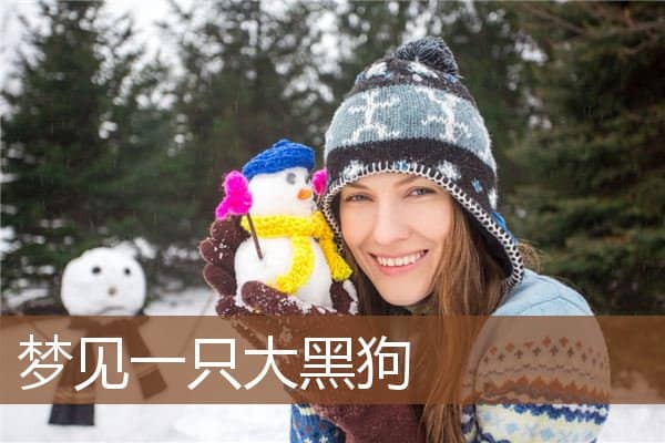 梦见一只大黑狗是什么意思