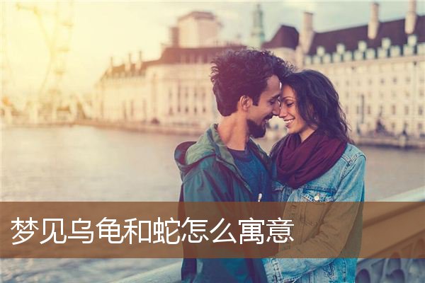 梦见乌龟和蛇是什么意思