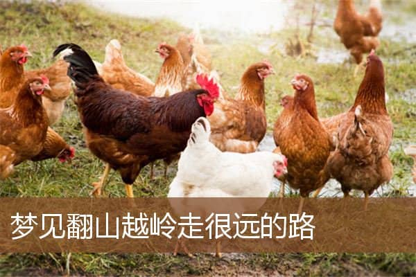 梦见翻山越岭走很远的路是什么意思