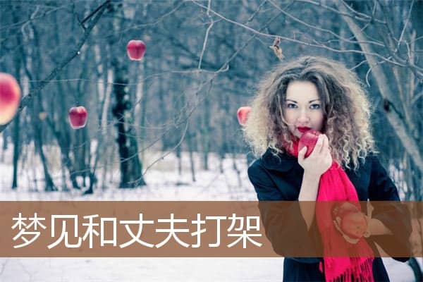 梦见和丈夫打架是什么意思