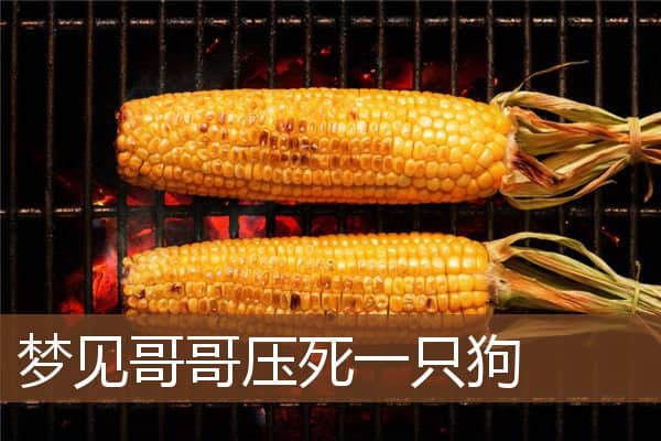 梦见哥哥压死一只狗是什么意思