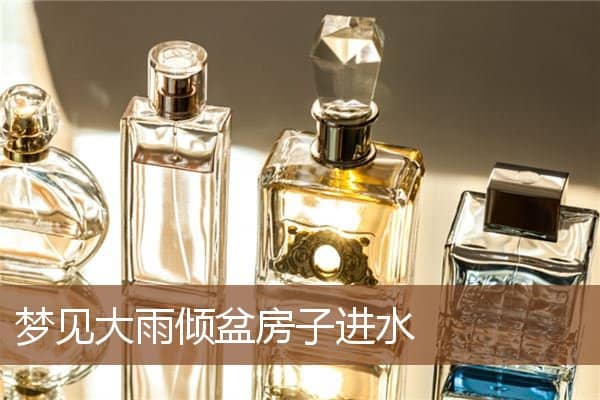 梦见大雨倾盆房子进水是什么意思