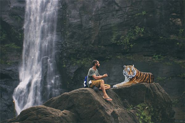 梦见打老虎是什么意思