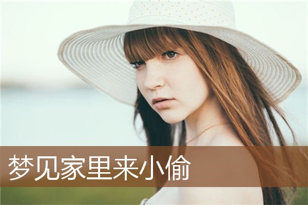 梦见家里来小偷是什么意思