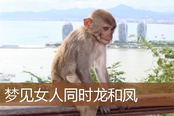 梦见女人同时龙和凤是什么意思