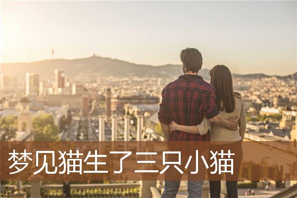 梦见猫生了三只小猫是什么意思