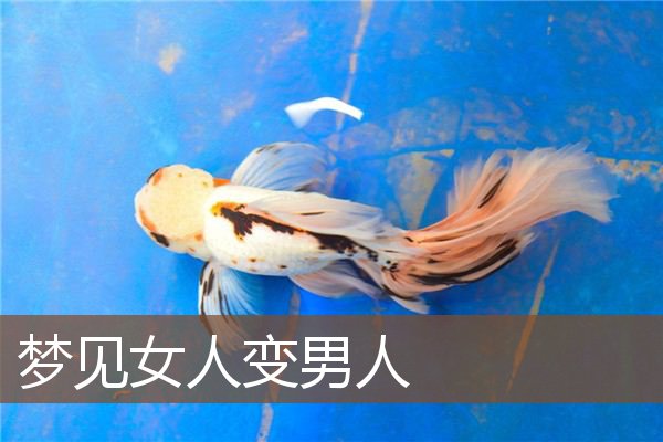 梦见女人变男人是什么意思
