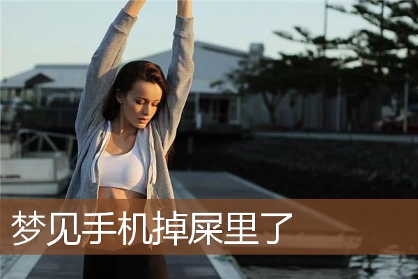 梦见手机掉屎里了是什么意思