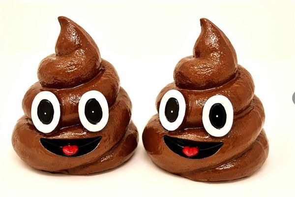 梦见男孩拉屎是什么意思