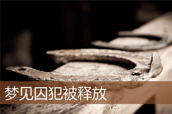 梦见囚犯被释放是什么意思