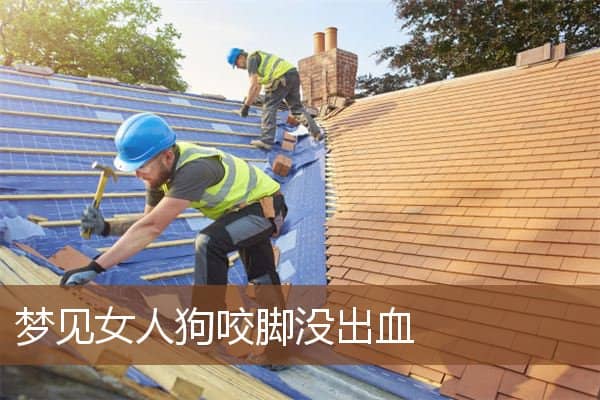 梦见女人狗咬脚没出血是什么意思