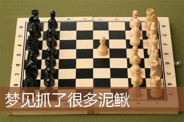 梦见抓了很多泥鳅是什么意思