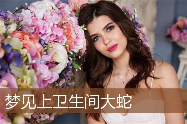 梦见上卫生间大蛇是什么意思