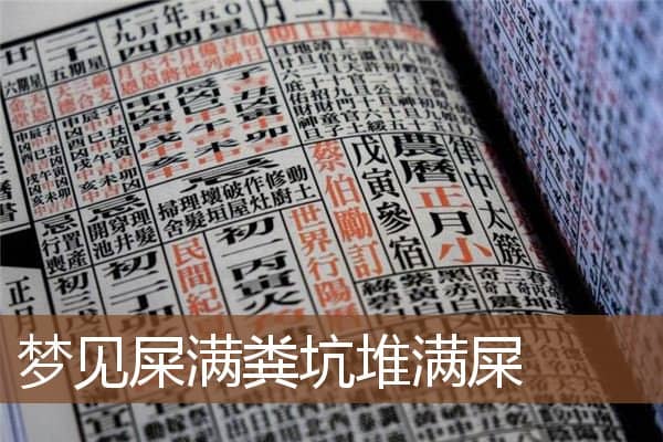 梦见屎满粪坑堆满屎是什么意思