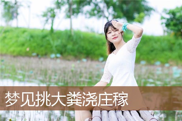 梦见挑大粪浇庄稼是什么意思