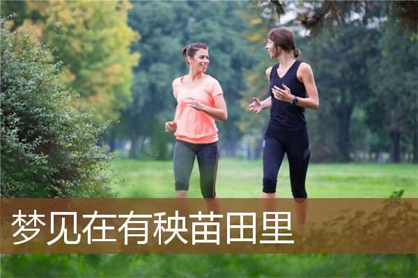 梦见在有秧苗田里是什么意思