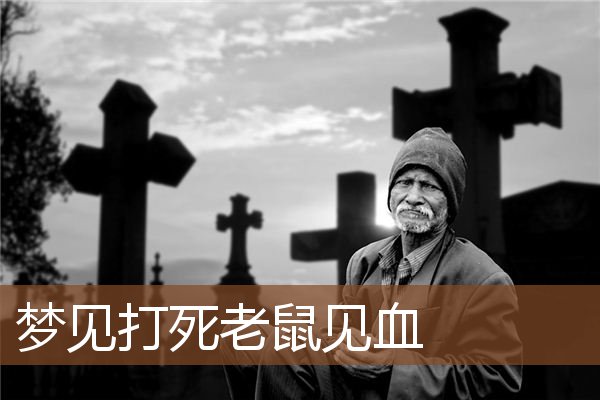 梦见打死老鼠见血是什么意思