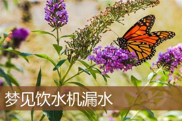 梦见饮水机漏水是什么意思