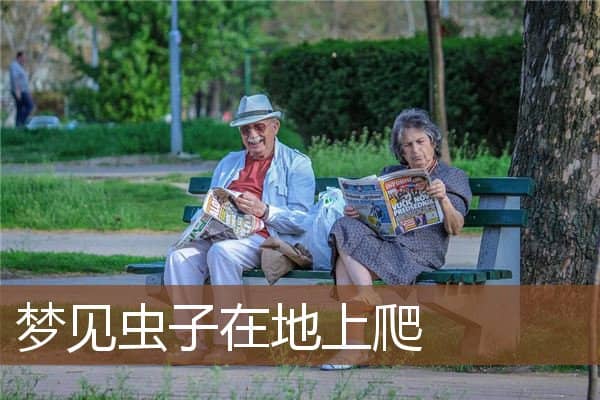 梦见虫子在地上爬是什么意思