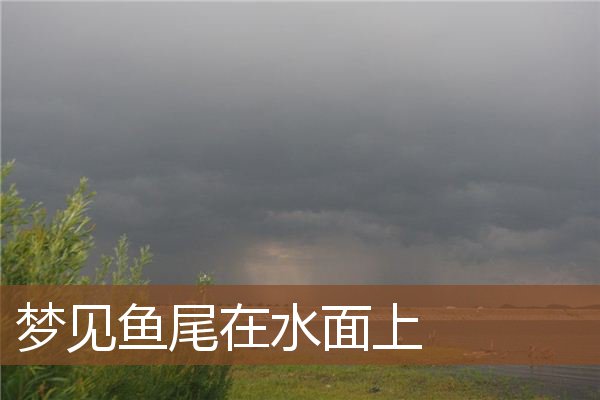 梦见鱼尾在水面上是什么意思