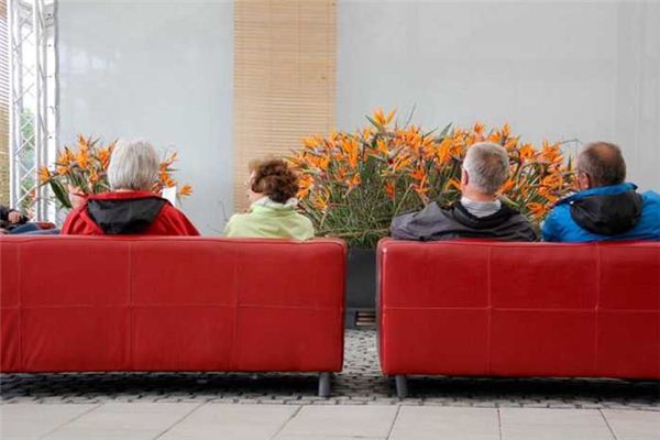 梦见家里人多是什么意思