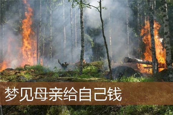 梦见母亲给自己钱是什么意思