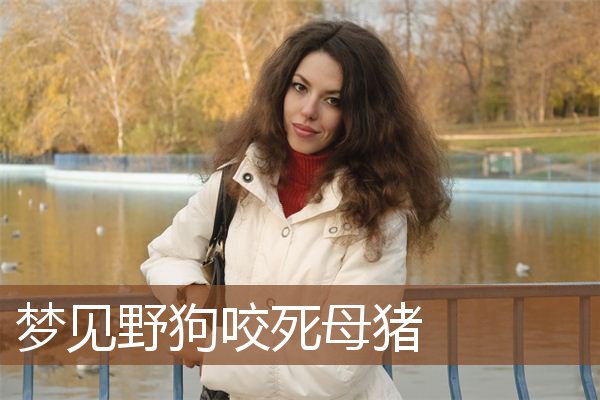 梦见野狗咬死母猪是什么意思