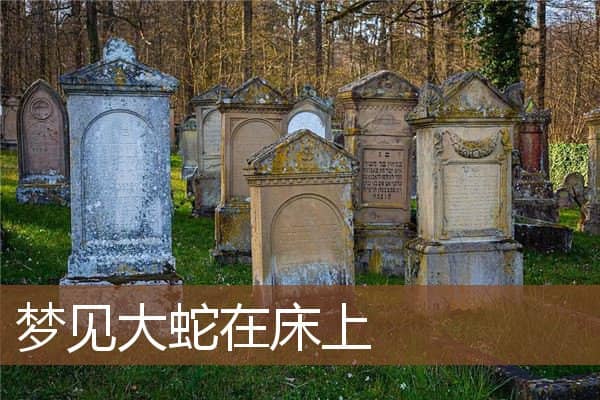 梦见大蛇在床上是什么意思