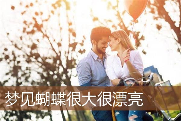 梦见蝴蝶很大很漂亮是什么意思