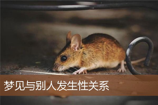 梦见与别人发生性关系是什么意思