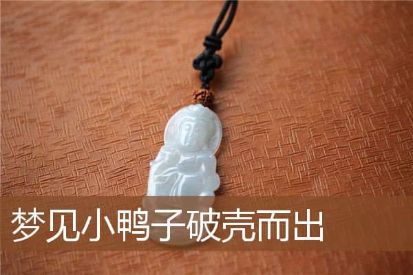 梦见小鸭子破壳而出是什么意思