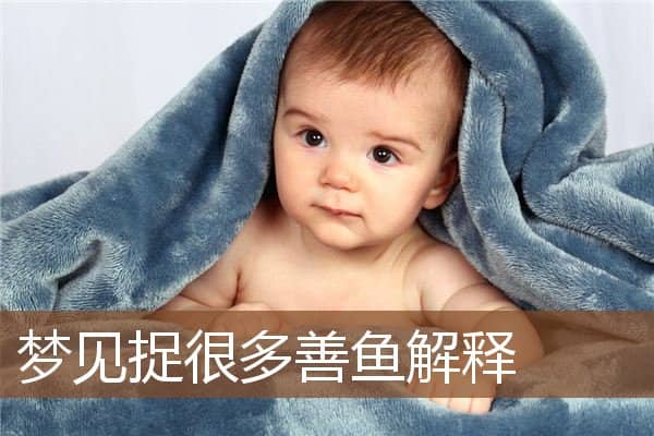 梦见捉很多善鱼解释是什么意思