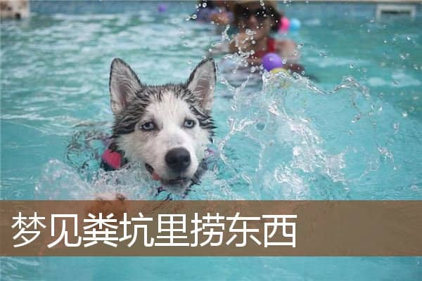 梦见粪坑里捞东西是什么意思