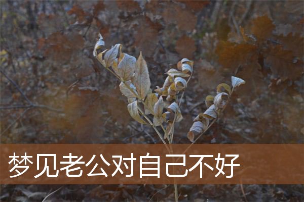 梦见老公对自己不好是什么意思