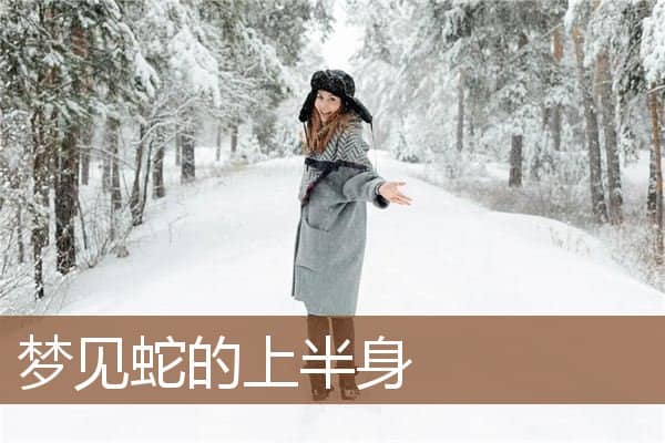 梦见蛇的上半身是什么意思