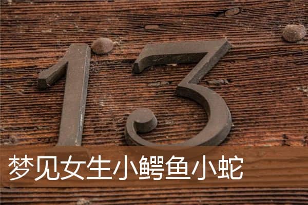 梦见女生小鳄鱼小蛇是什么意思