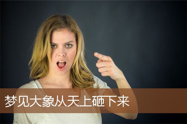 梦见大象从天上砸下来是什么意思