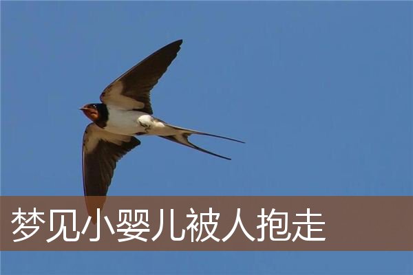 梦见小婴儿被人抱走是什么意思