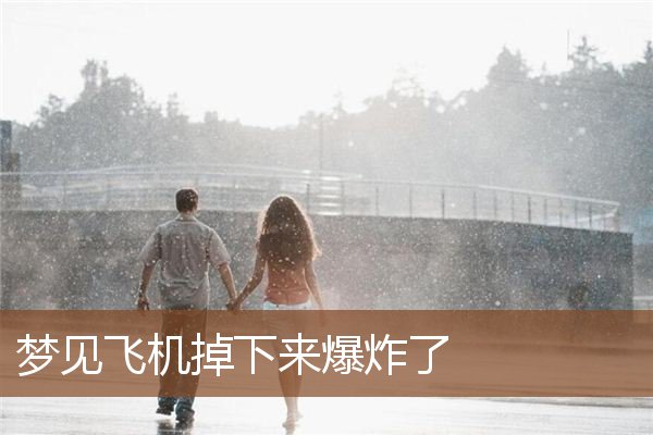 梦见飞机掉下来爆炸了是什么意思