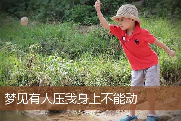 梦见有人压我身上不能动是什么意思