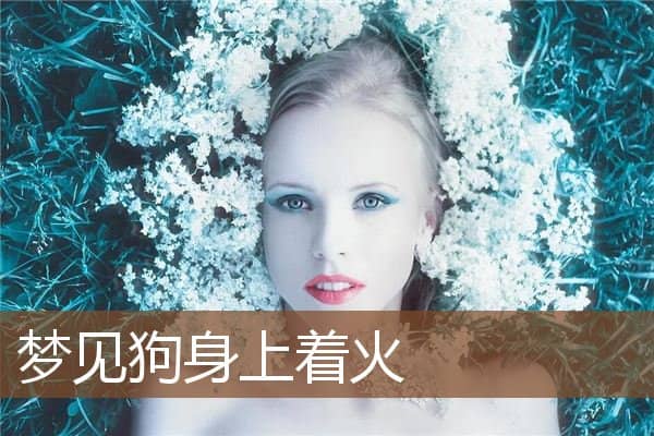 梦见狗身上着火是什么意思