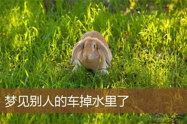 梦见别人的车掉水里了是什么意思