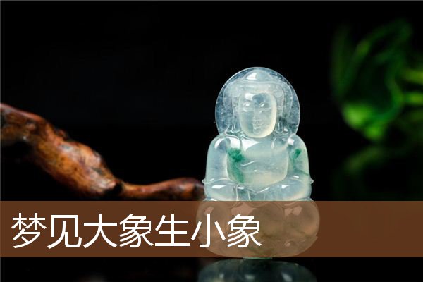 梦见大象生小象是什么意思