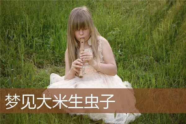 梦见大米生虫子是什么意思