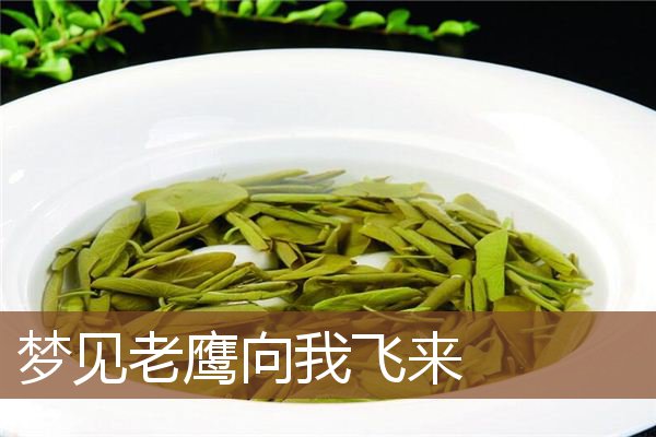 梦见老鹰向我飞来是什么意思