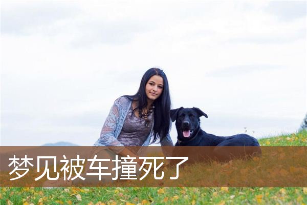 被车撞死了