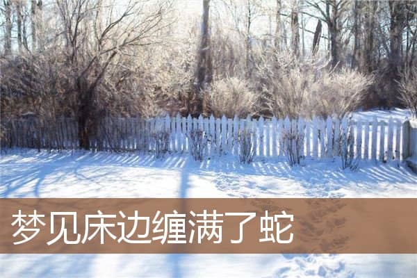 梦见床边缠满了蛇是什么意思