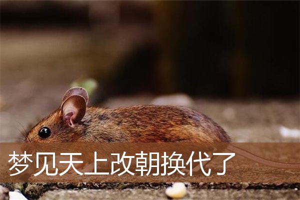 梦见天上改朝换代了是什么意思