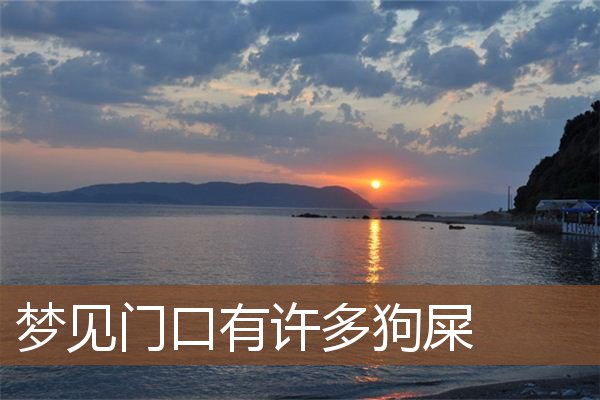 梦见门口有许多狗屎是什么意思